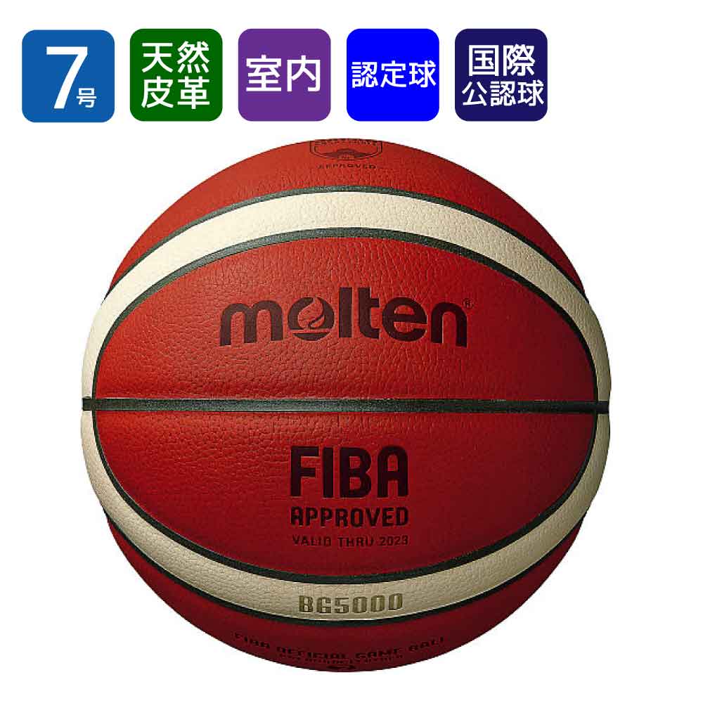 バスケットボール BG5000（B7G5000）7号/天然皮革/12枚パネル